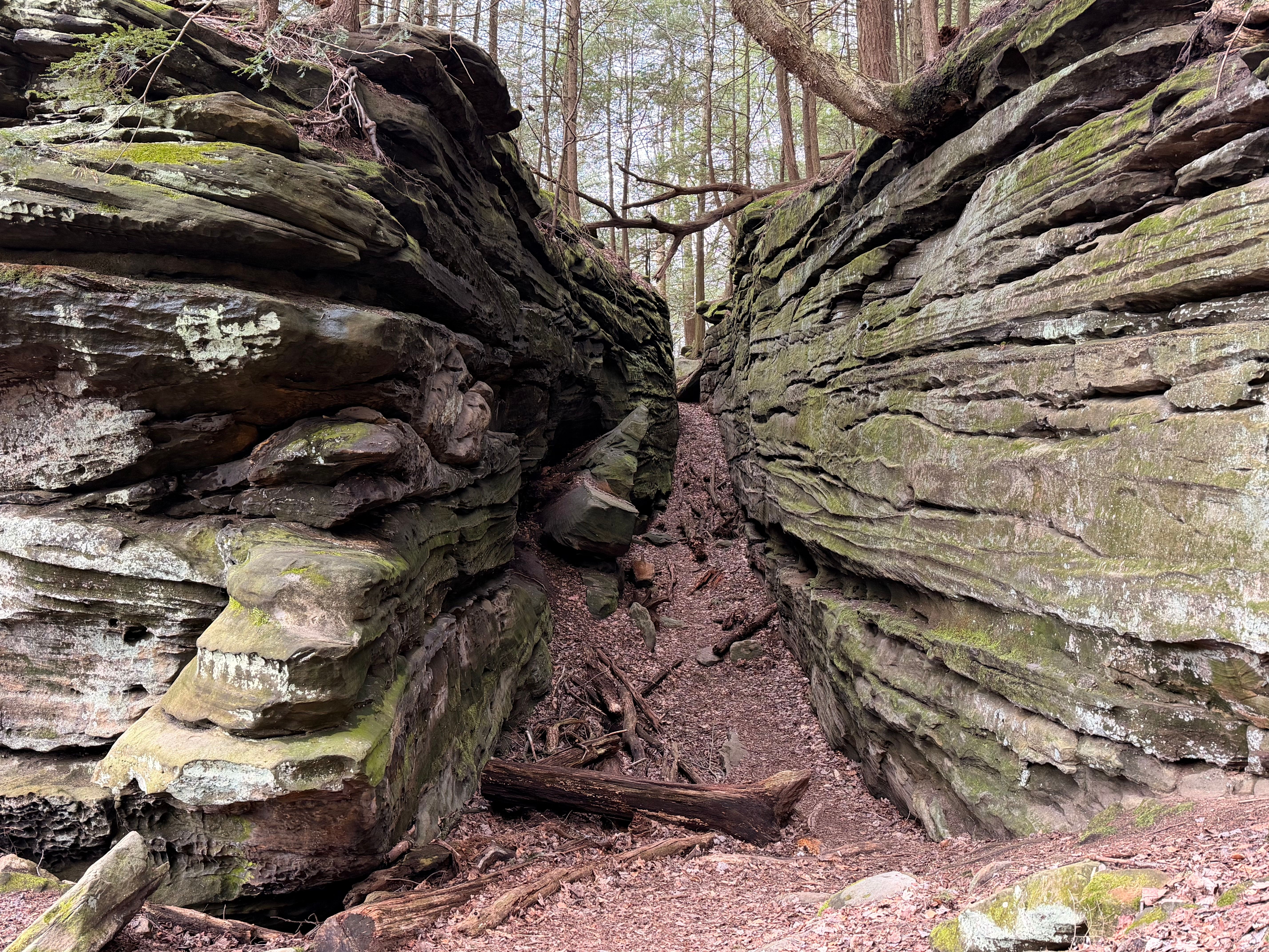 Wooded gorge trail with limestone cliffs and a footbridge near Yellow Springs