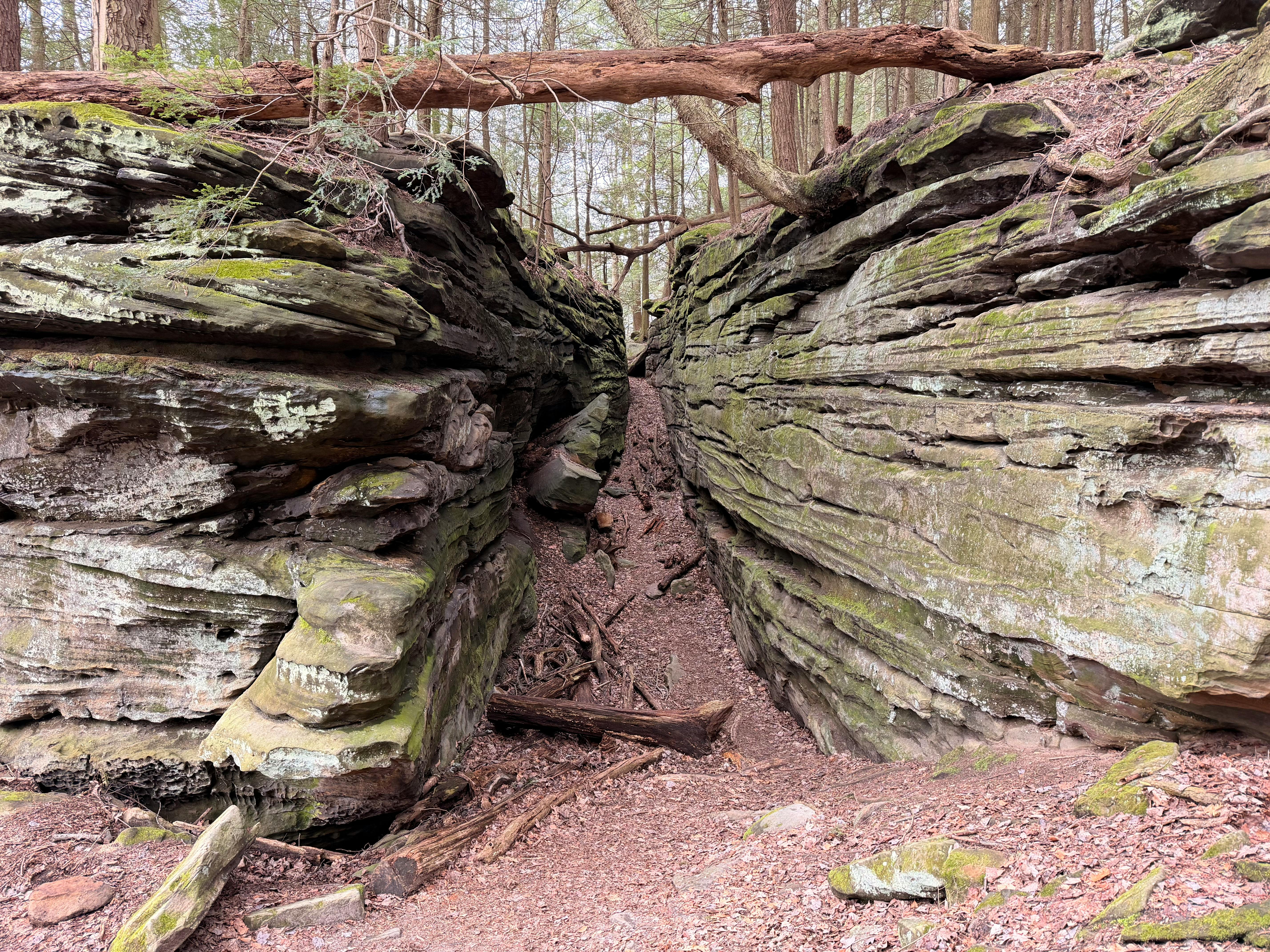 Opportunity to review Ohio’s Plan for K-12 Mathematics — Photo by Kanishk Gabel on Pexels