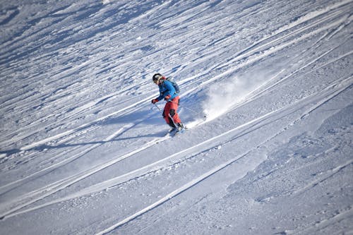Person in Blue Jacket and Red Ski Pants Skiing