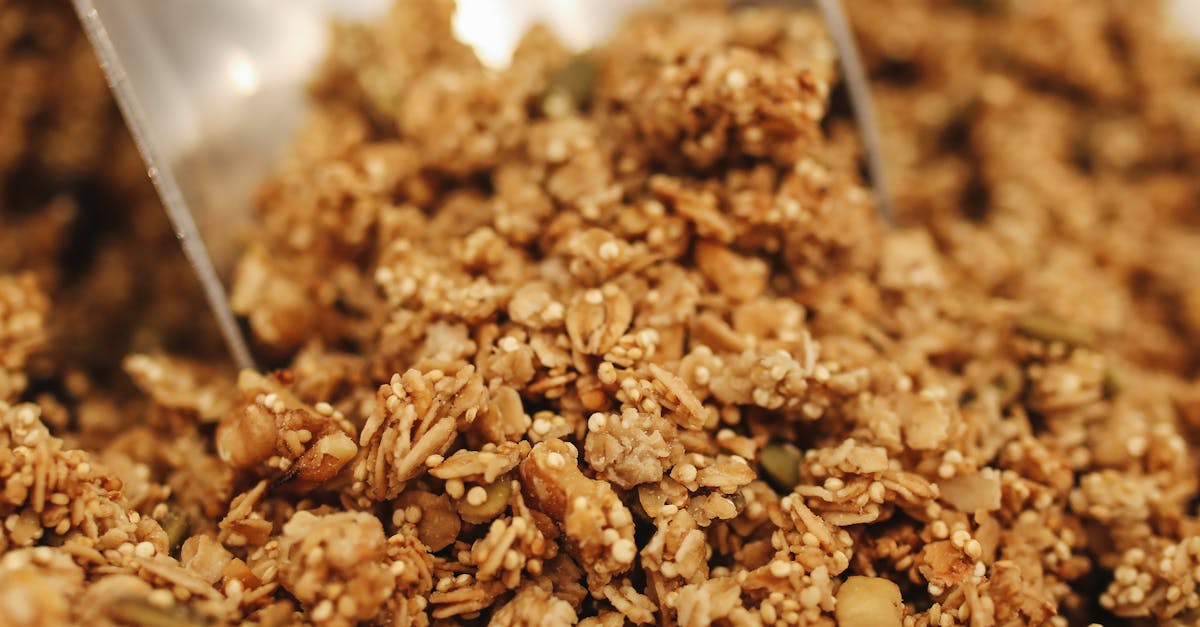 How do you spell breakfast cereal