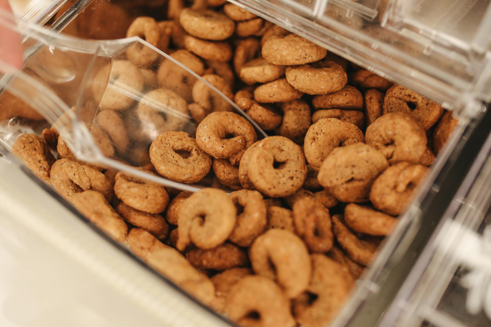 Cookies in Clear Plastic Container