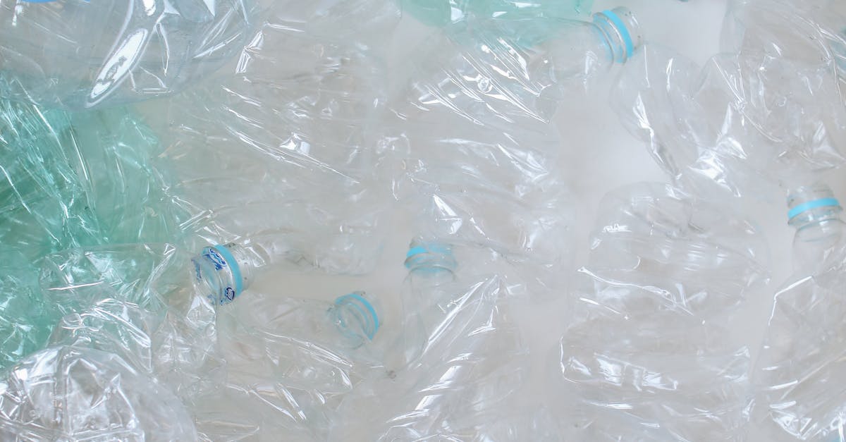 源頭減塑新趨勢!BioLogiQ用植物基材料打造低碳綠色生活