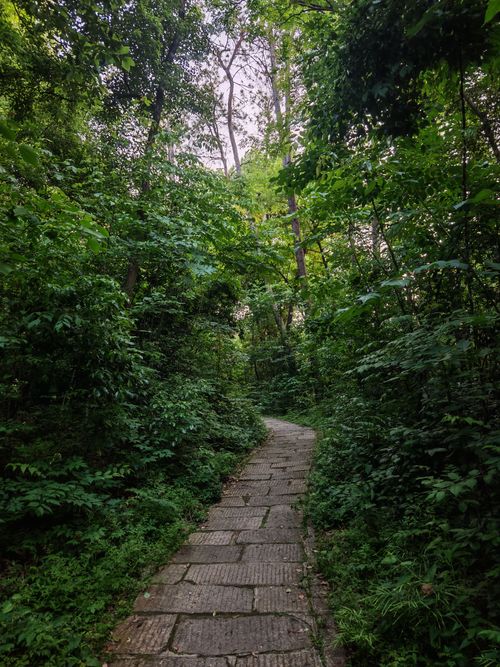 Free A tranquil stone pathway winds through lush green forest, inviting exploration. Stock Photo