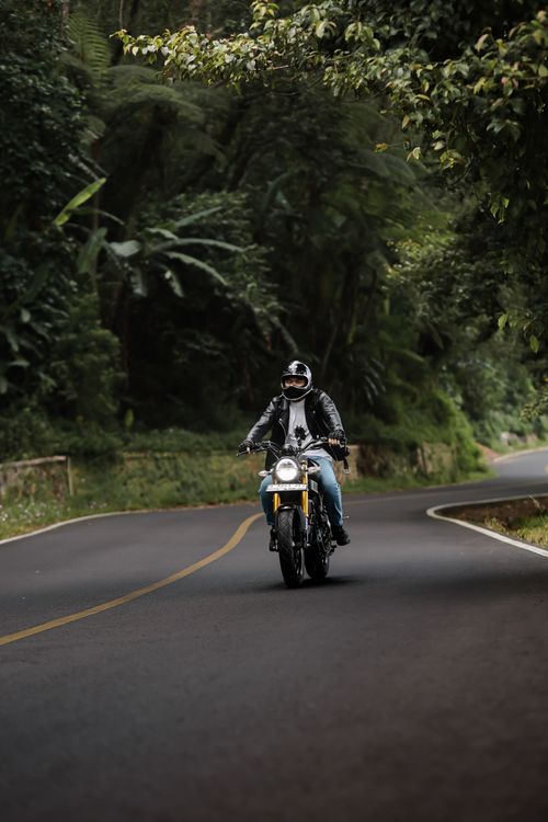 Free Motorcyclist rides through lush green forest on a winding road. Stock Photo