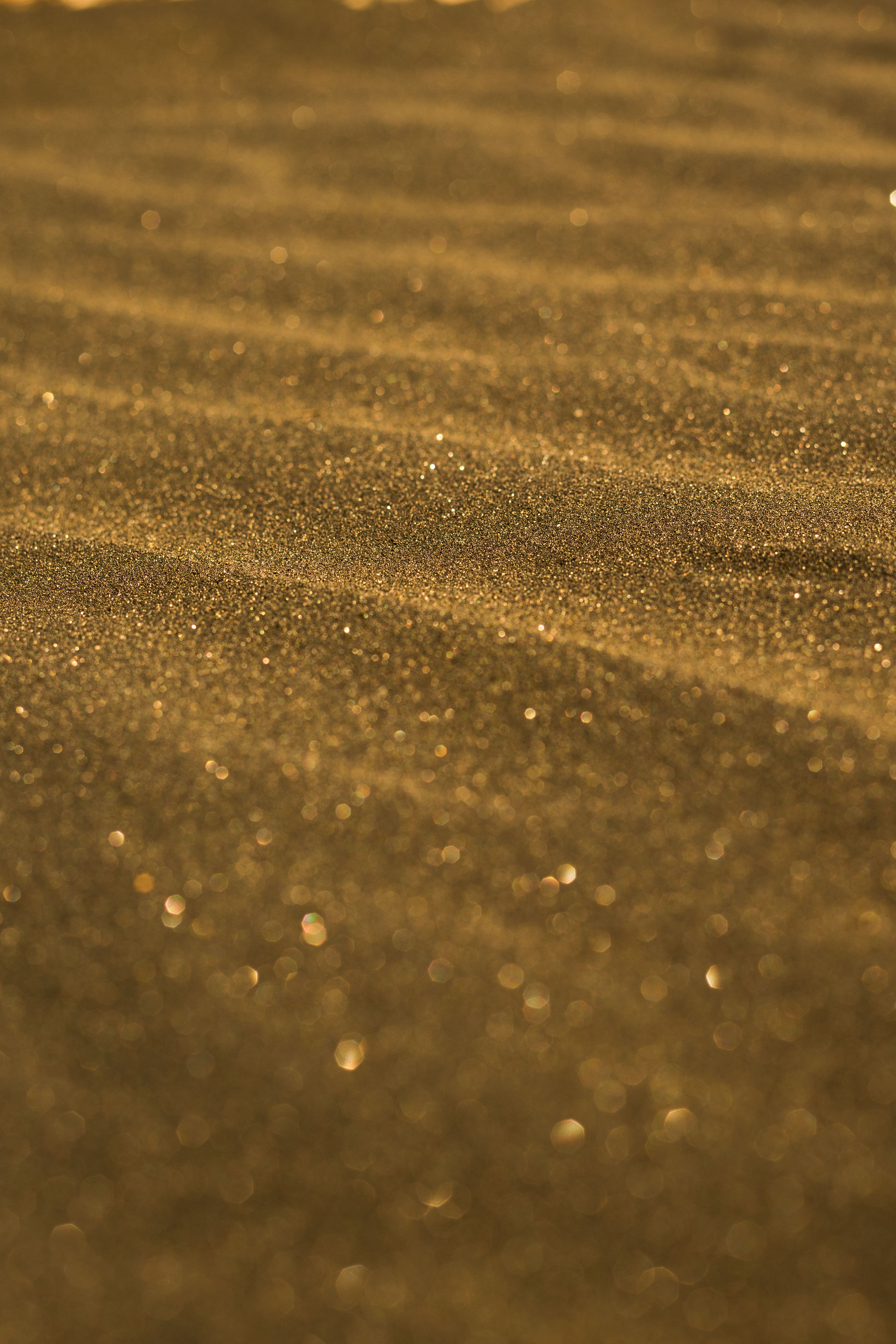 Golden Sand Dunes Sparkle Under Sunlight · Free Stock Photo