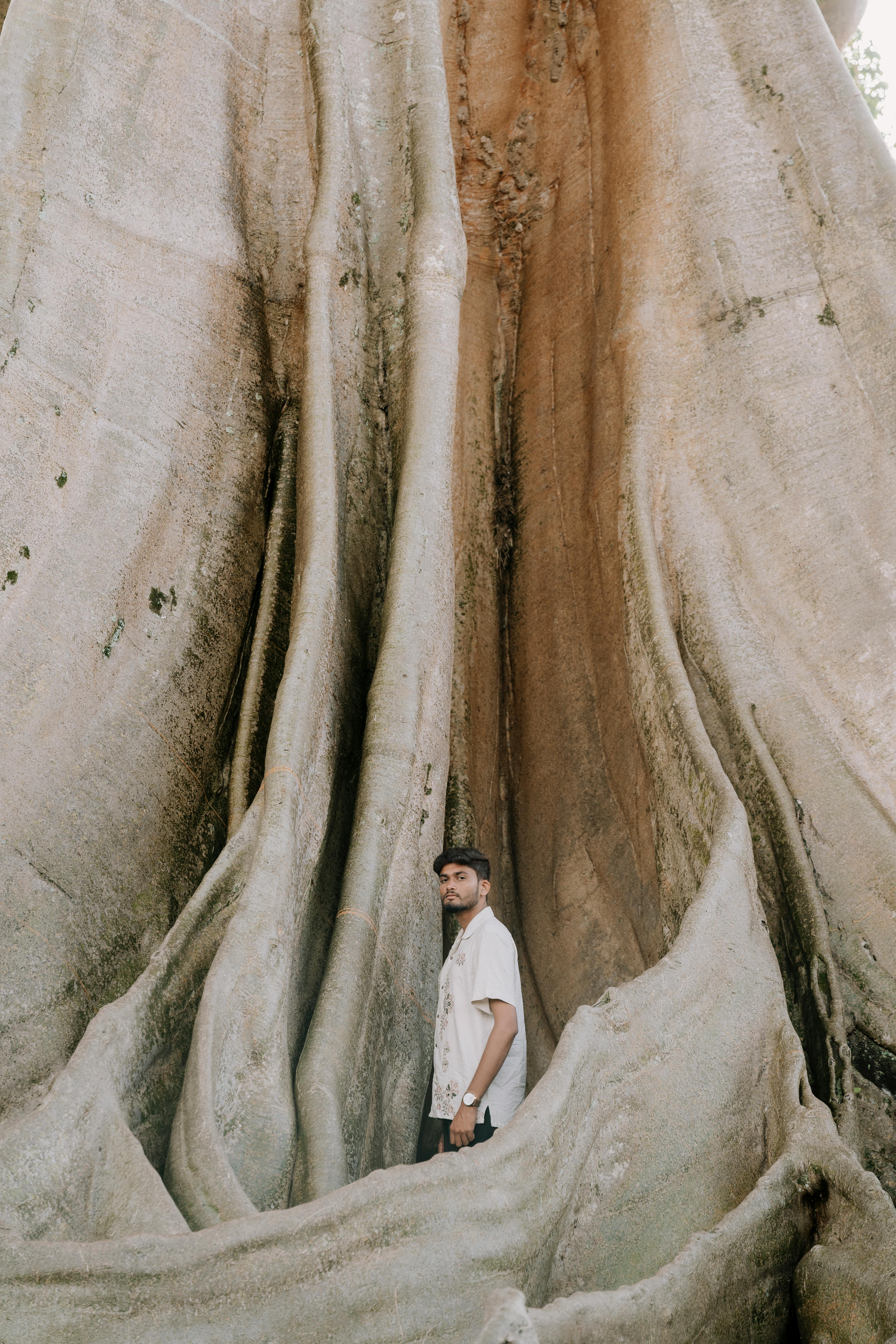 A person stands beside large, textured tree roots in a natural setting.