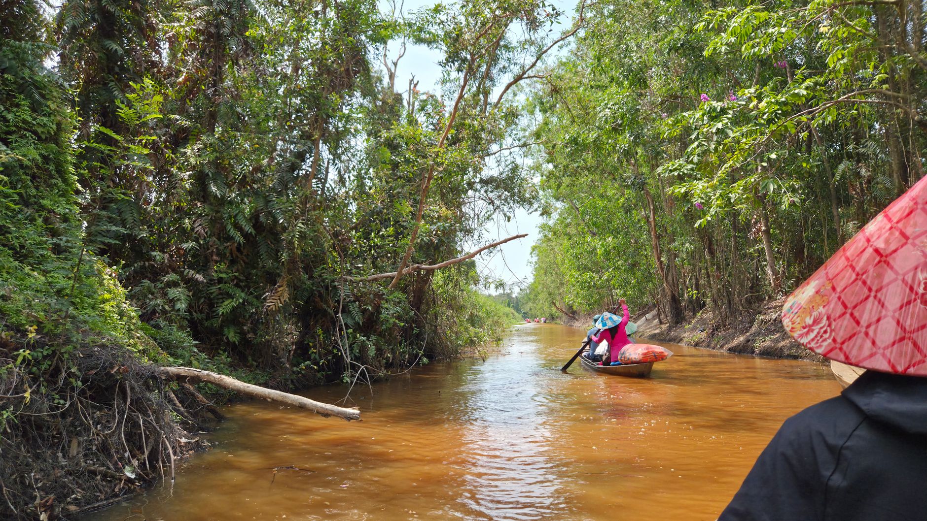 Scenic canal boat ride through lush greenery in Phong Mỹ, Vietnam.