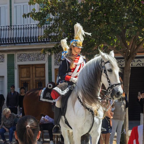 Free A parade showcasing an equestrian in a historical uniform riding a white horse in a lively street setting. Stock Photo