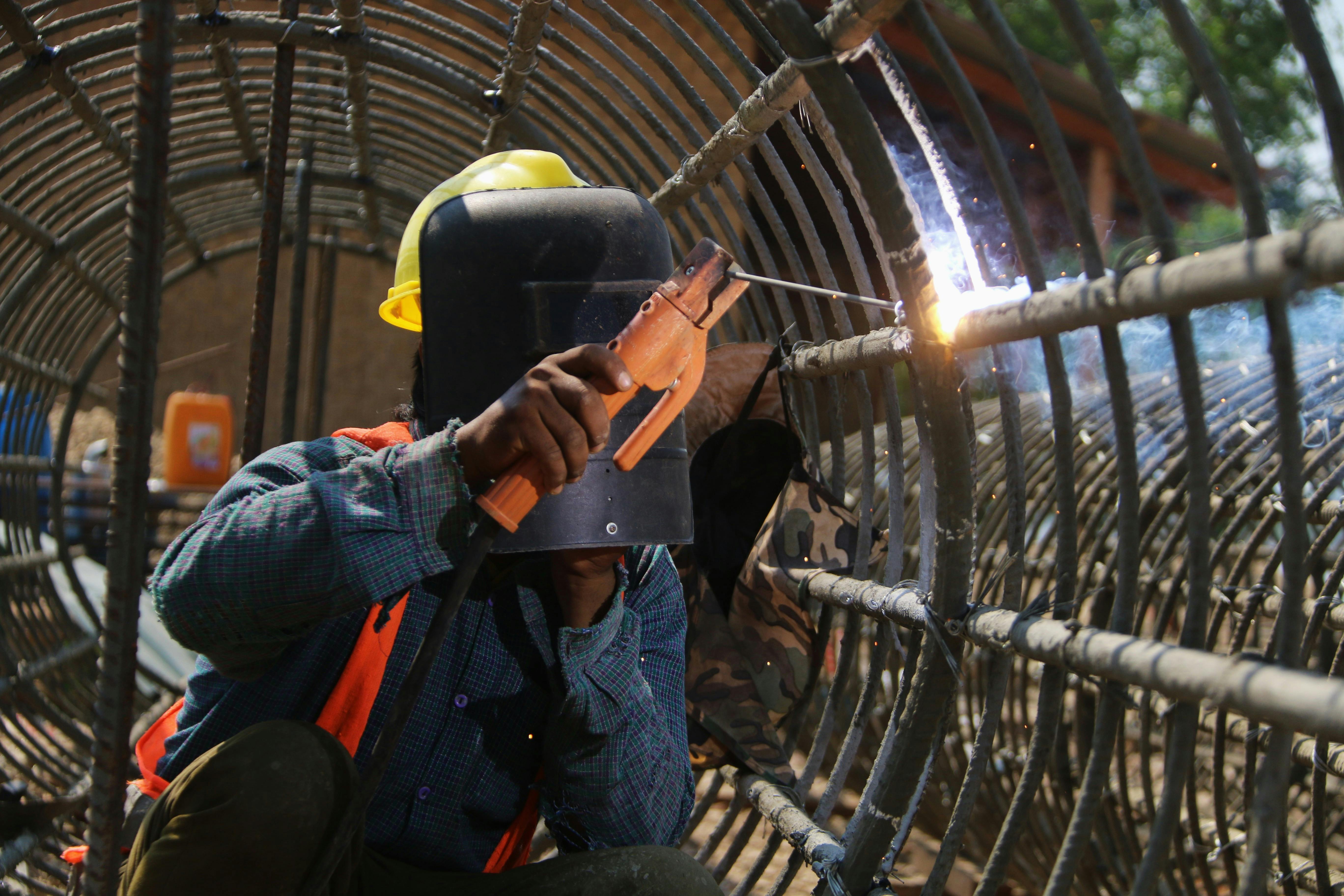 Around 100 union workers strike at Brookfield Zoo over health insurance, wages — Photo by HLA Phay on Pexels