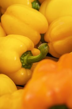 Vibrant close-up of yellow bell peppers, highlighting their fresh detail and rich color.