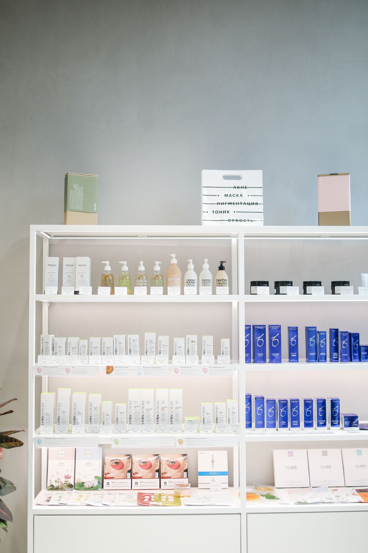 A well-organized skincare product display on shelves in a store