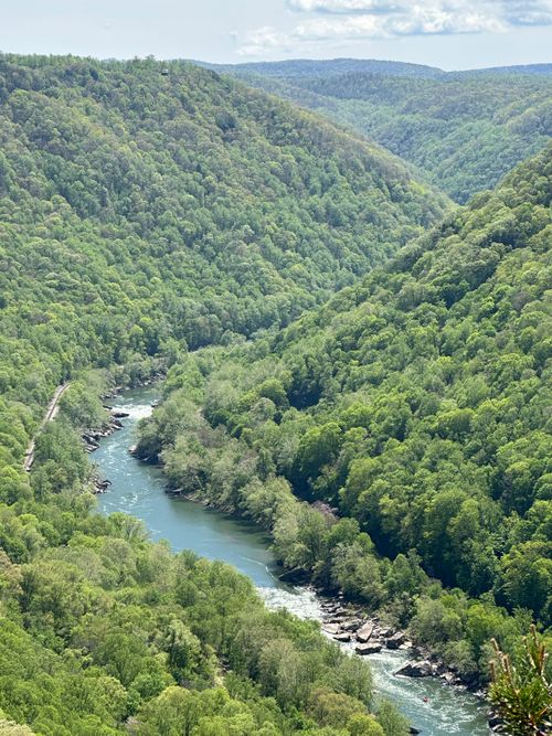 Free Lush green landscape of New River Gorge with a winding river and forested hills in summer. Stock Photo