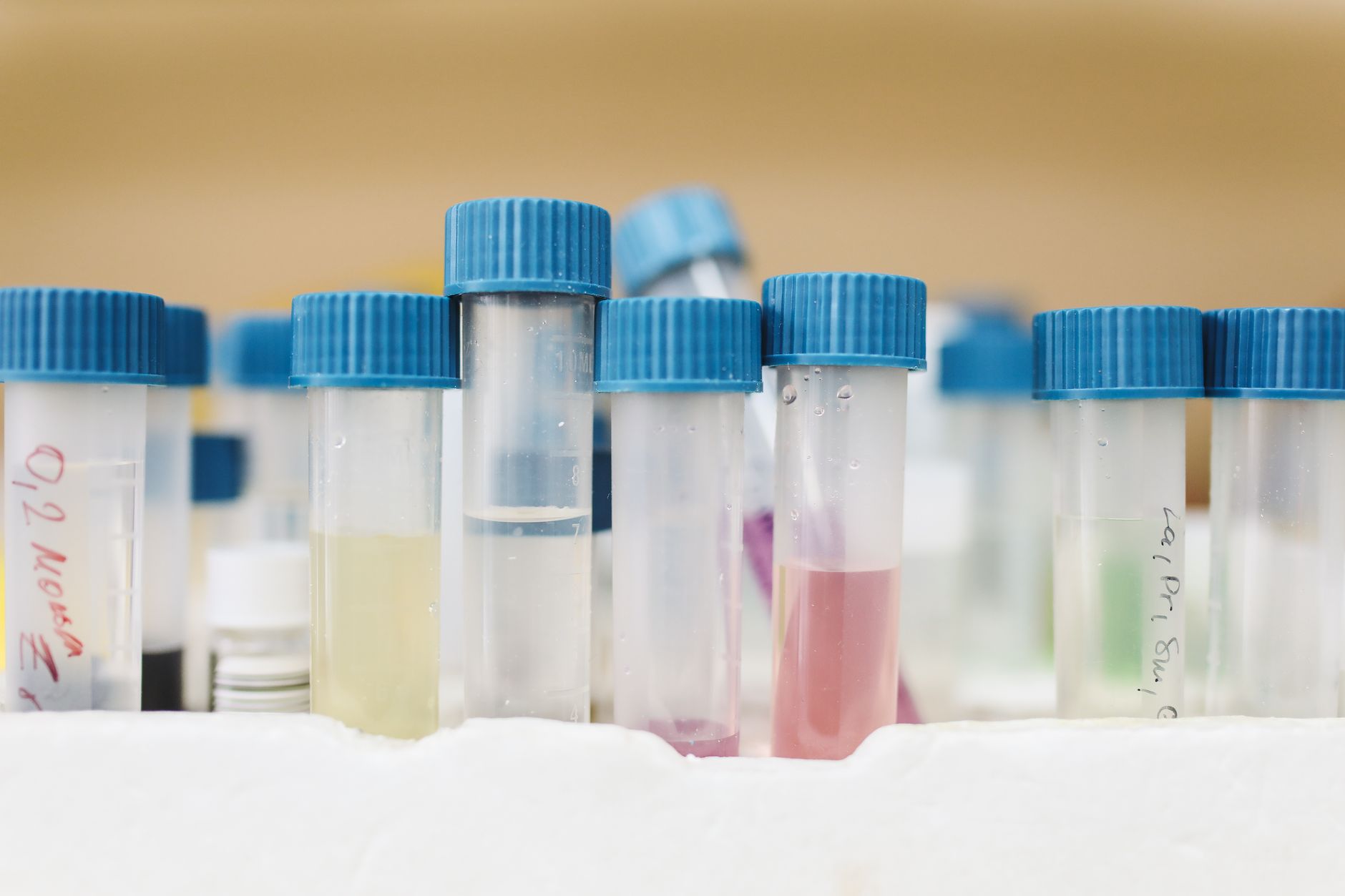 Close-up of colorful test tubes with blue caps in a laboratory setting.
