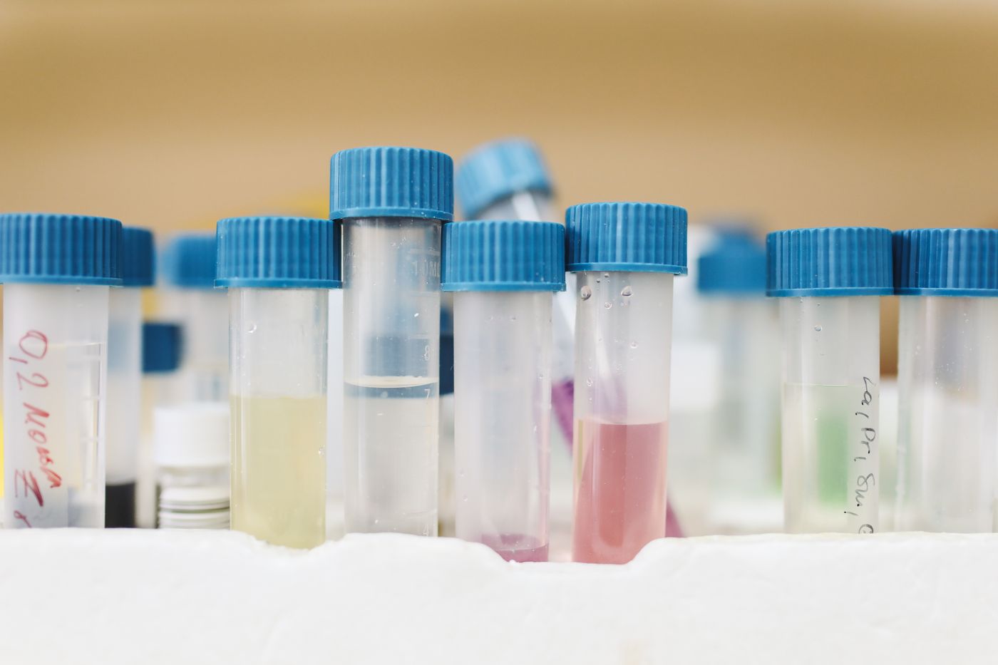 Rows of glass vials in a laboratory