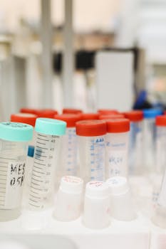 实验室试管和容器的特写，用于科学研究