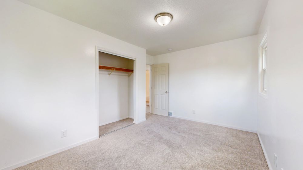 Carpet