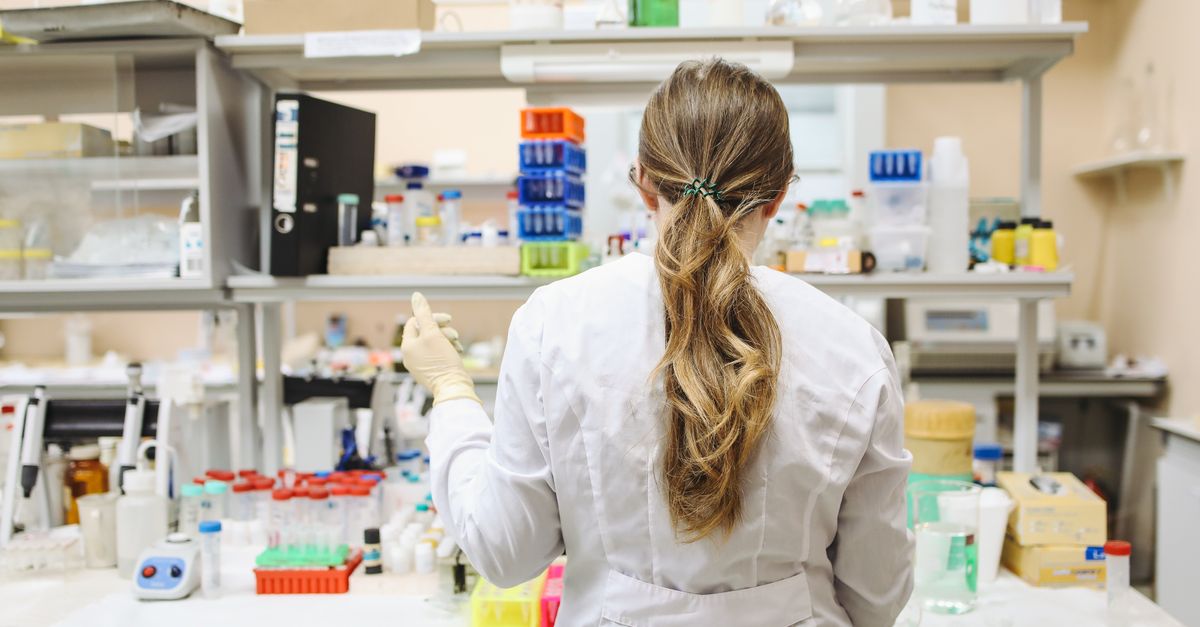 Scientists Just Grew a Mini Human Brain in a Lab – Here’s What It Learned