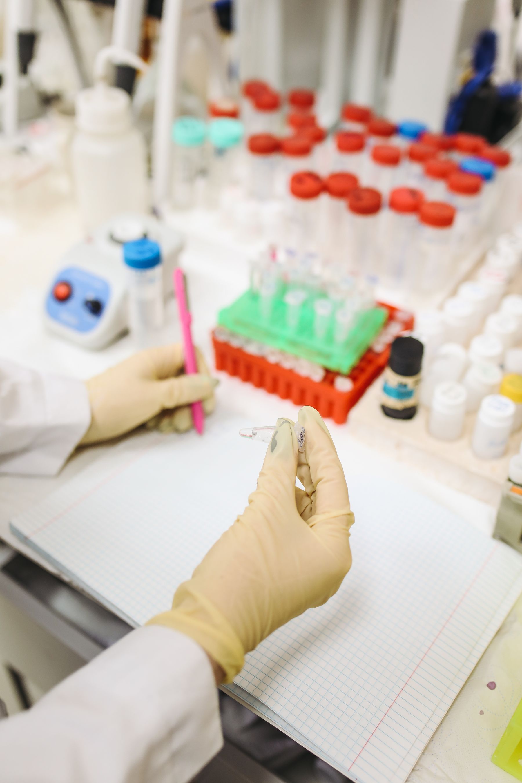 NEB Q5: Choosing the Right High-Fidelity PCR Format