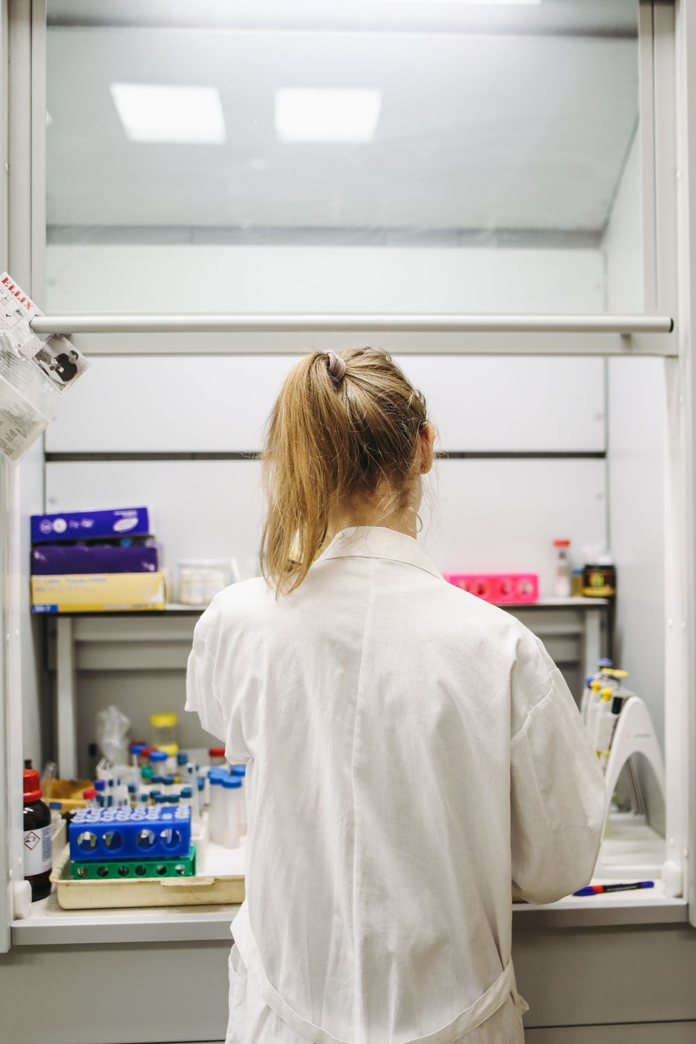 Microbiology culture testing in laboratory hood