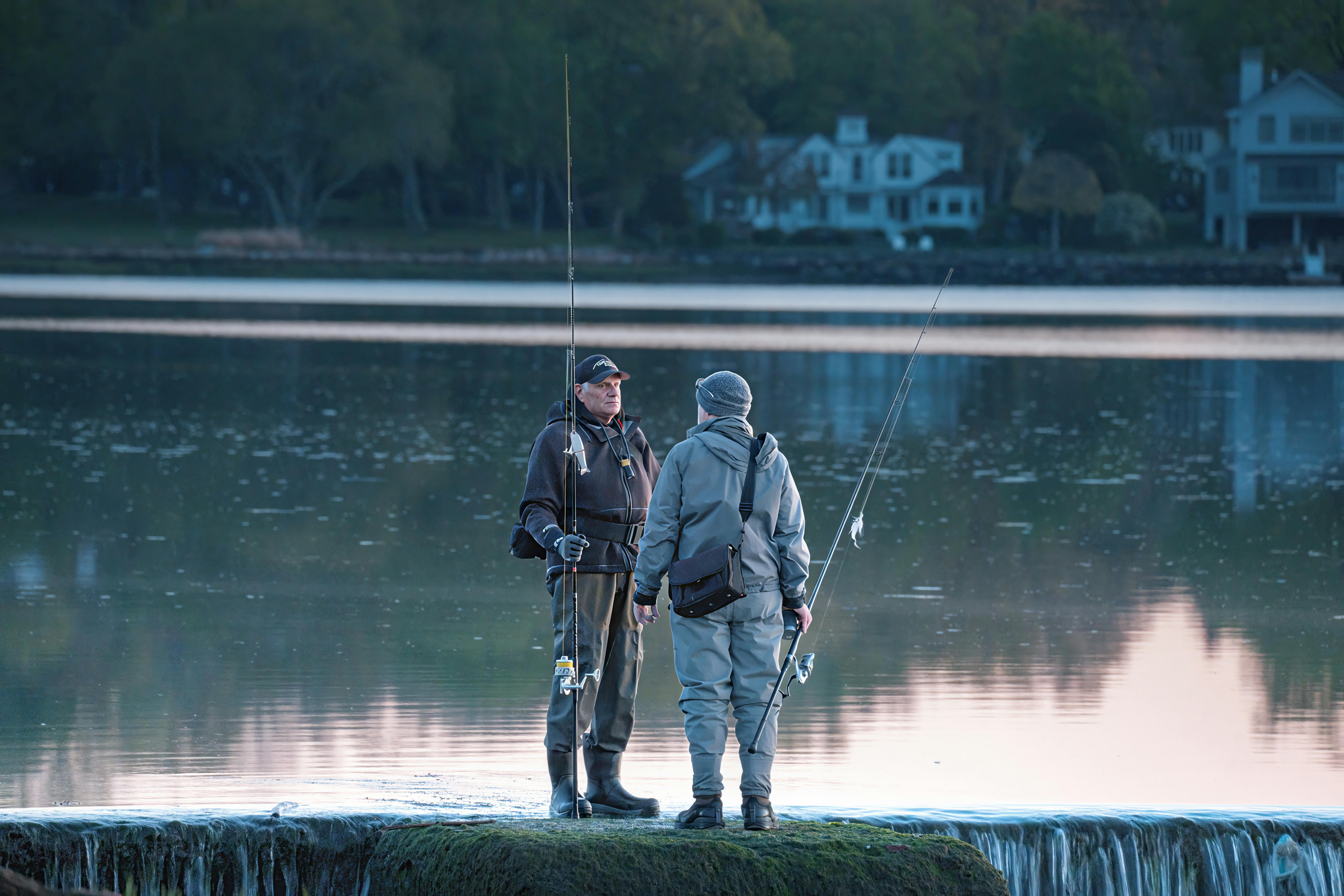 Gov. Jared Polis releases plan to lower Colorado home insurance premiums by $800 a year — Photo by David Kanigan on Pexels