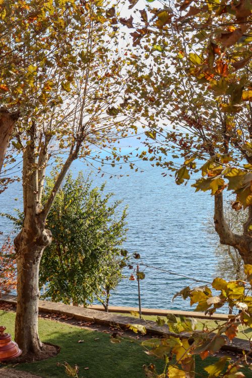 Free Autumn leaves by a tranquil lake with clear blue water and trees framing the scenic view. Stock Photo