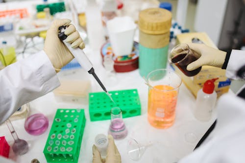 Free Scientists in Laboratory Stock Photo