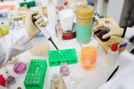 科学家在现代化的实验室环境中，利用化学物质和工具进行实验