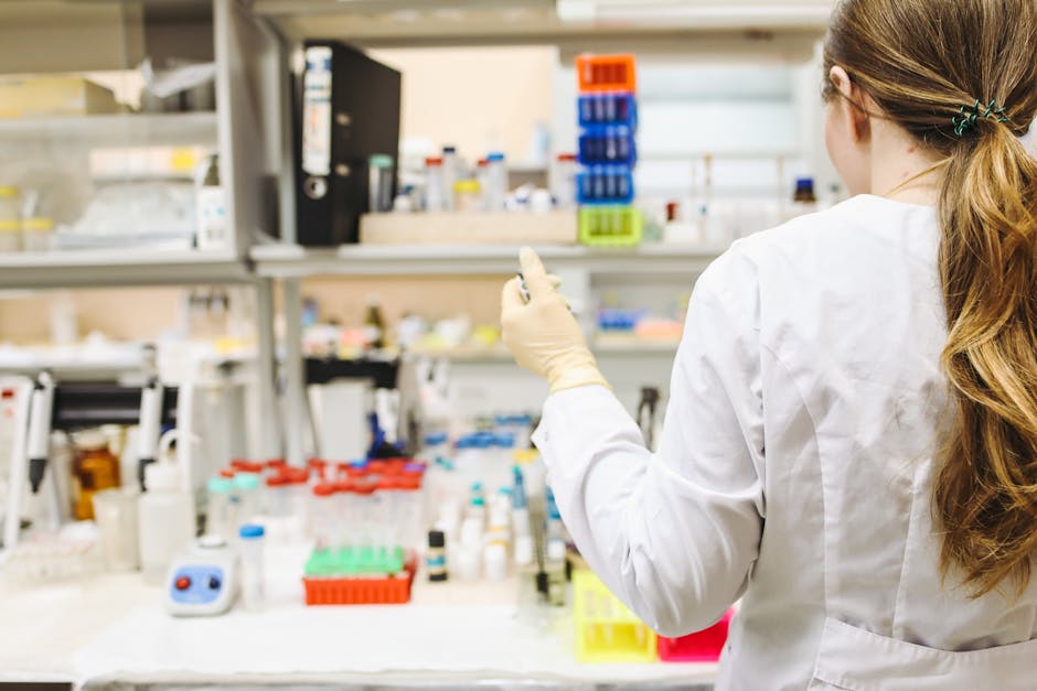 mRNA 수출의 생물학적 필요성과 기본 원리