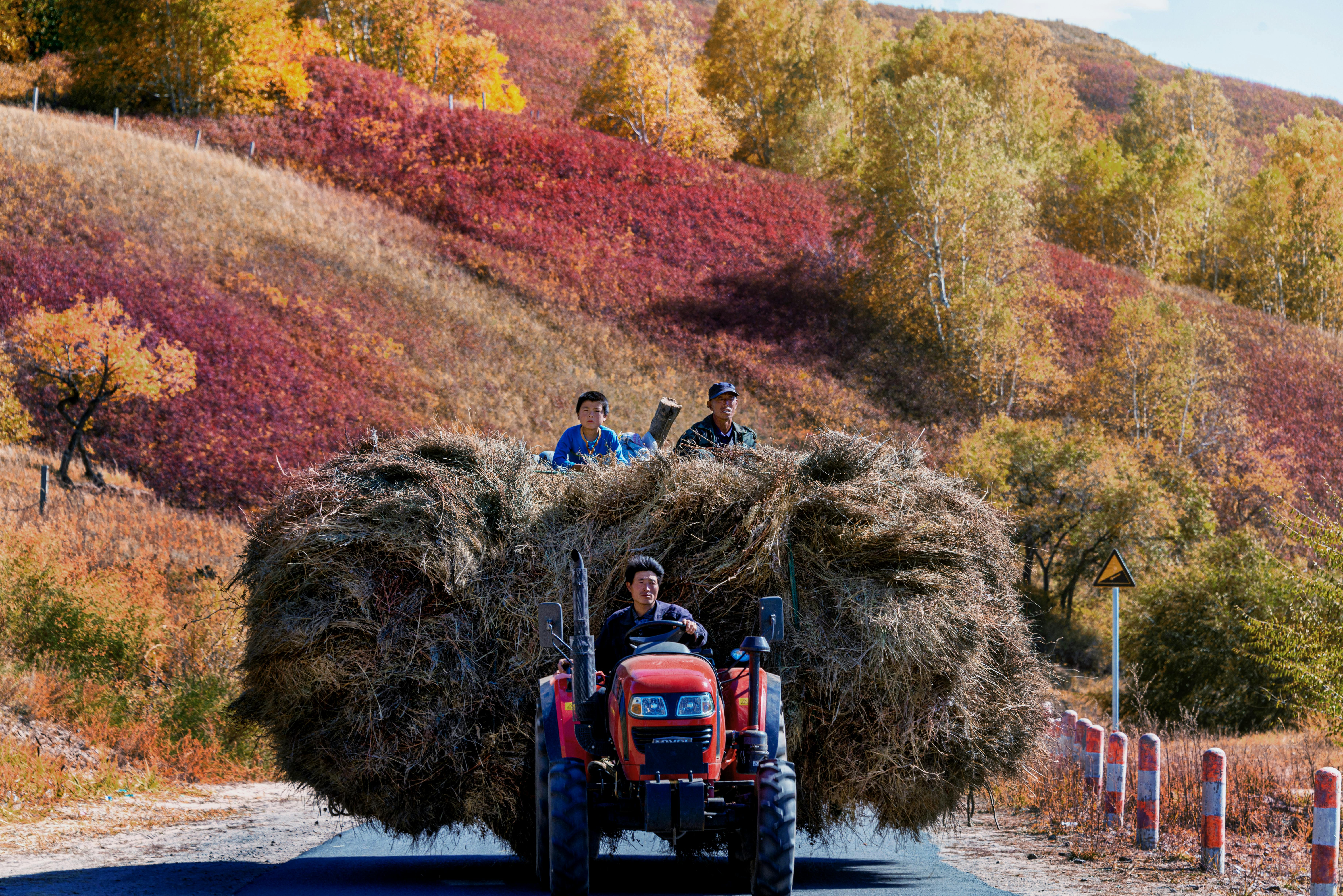 man driving a tractor