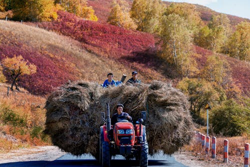 Kostnadsfri bild av fordon, jordbruk, landsbygden