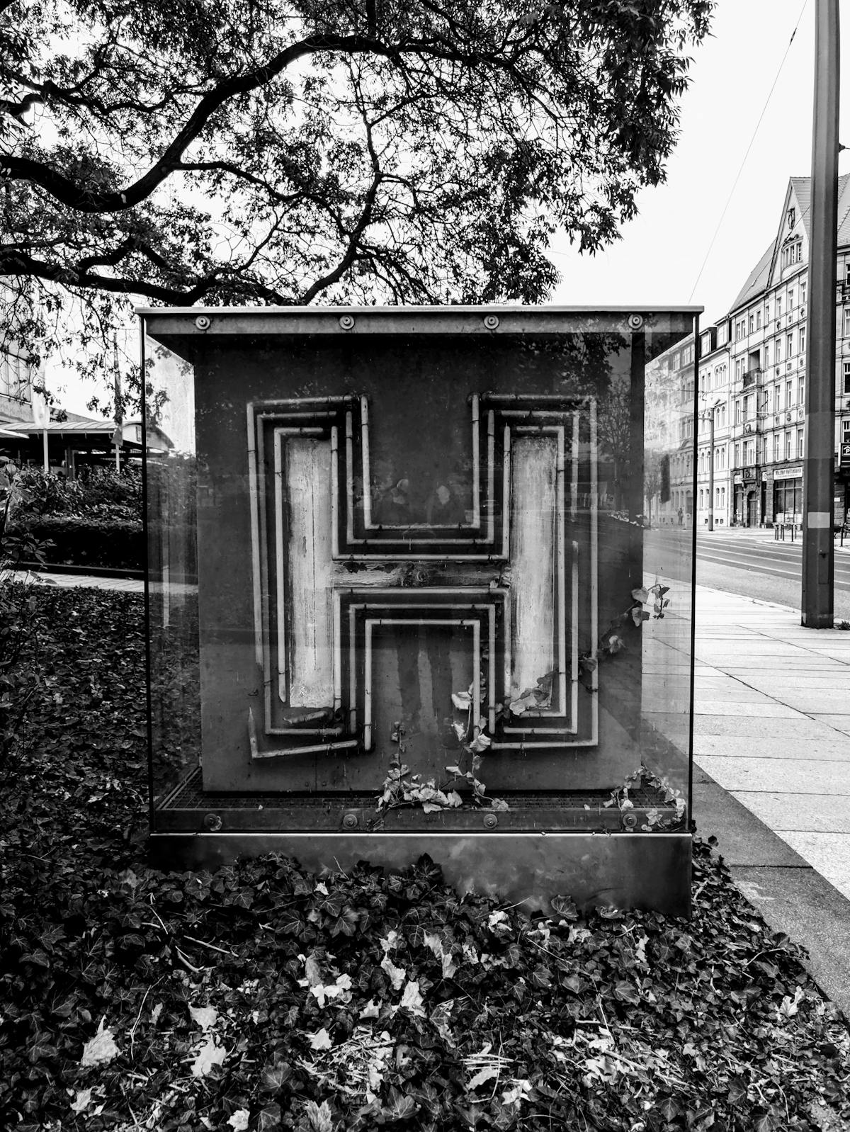 Person walking in the park in sportswear during sunrise