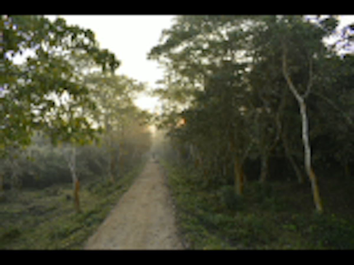 Person preparing a colorful healthy meal with vegetables