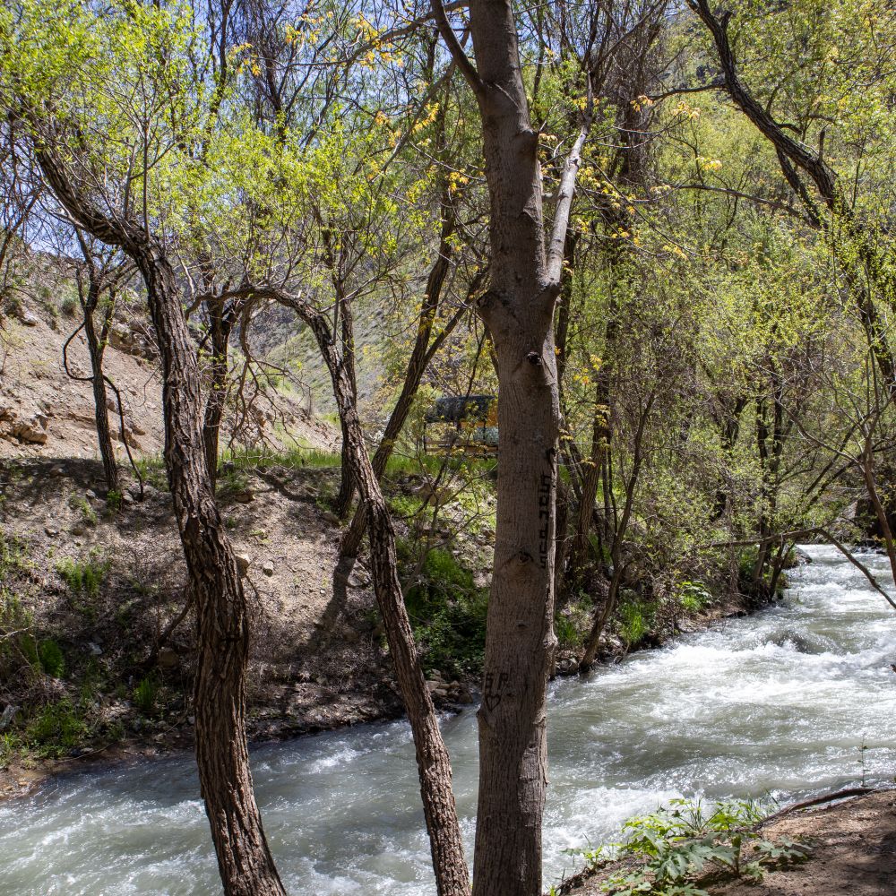 Slaley — man and van team loading a removal van