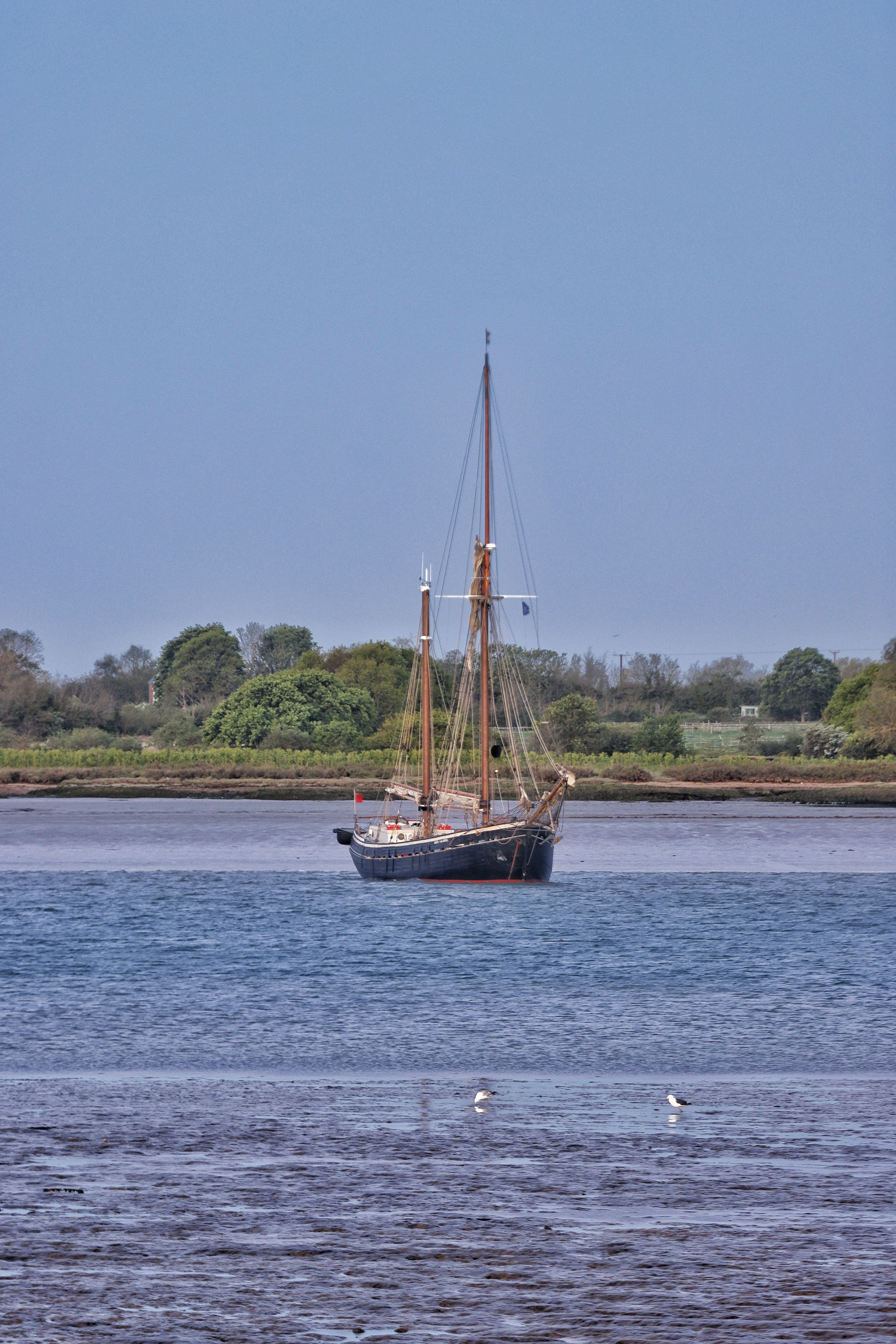 A classic sailboat anchored in calm blue coastal waters with lush greenery in the background.