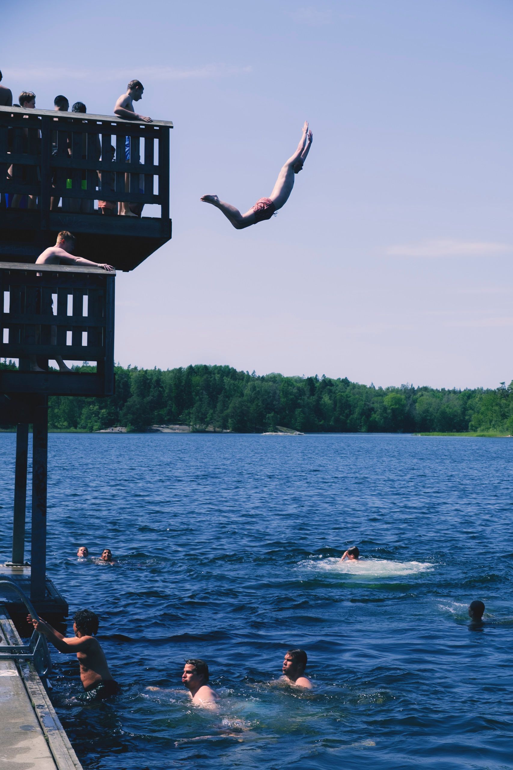 Adults diving from a deck into a serene lake surrounded by lush greenery. Perfect summer activity scene.