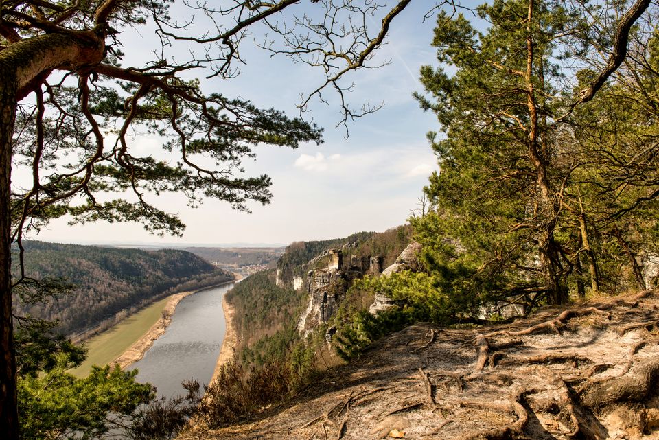 im Teutoburger Wald