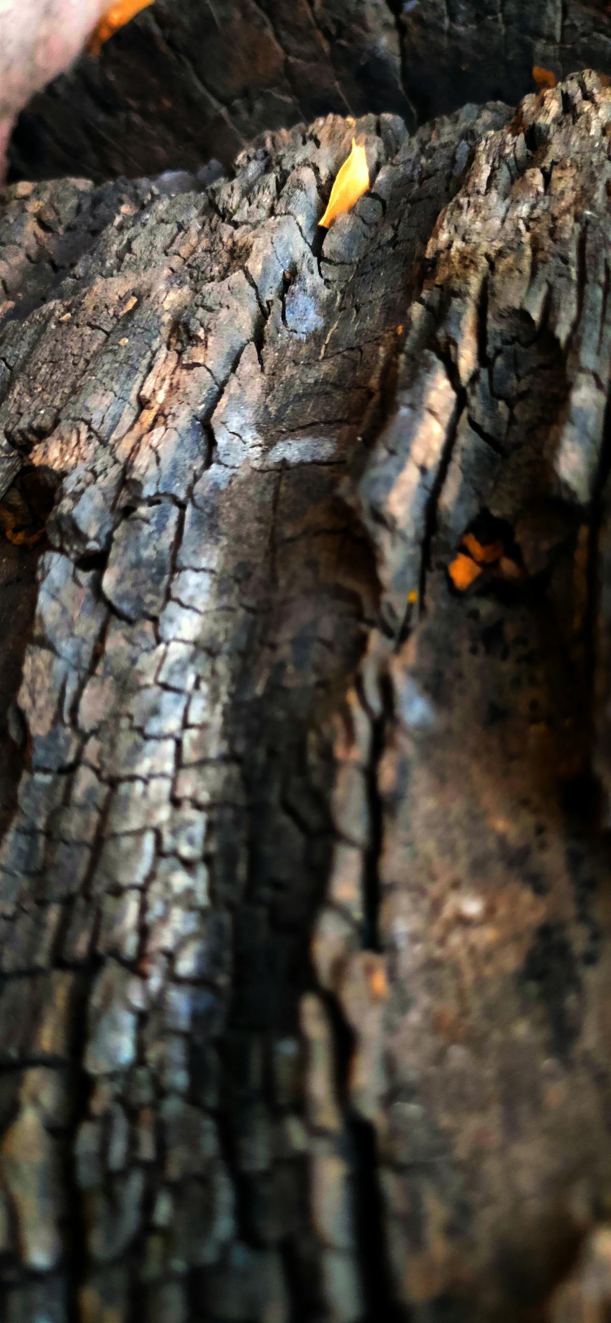 Person eating a healthy grain bowl slowly at a table with water and a notebook