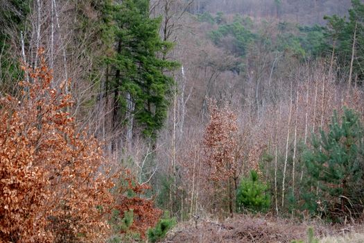 Natur