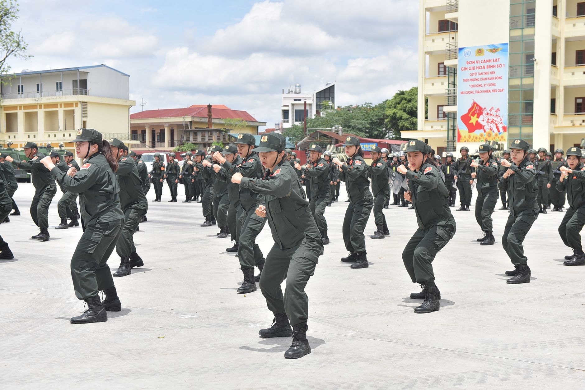 Gà chọi đứng trong khu nuôi sạch, người chăm sóc kiểm tra nước uống dưới ánh sáng buổi sáng
