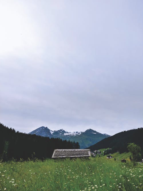 Green Grass Field Near Mountain Under White Sky