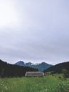 风景如画的乡村小屋坐落在草地上，面向瑞士阿尔卑斯山