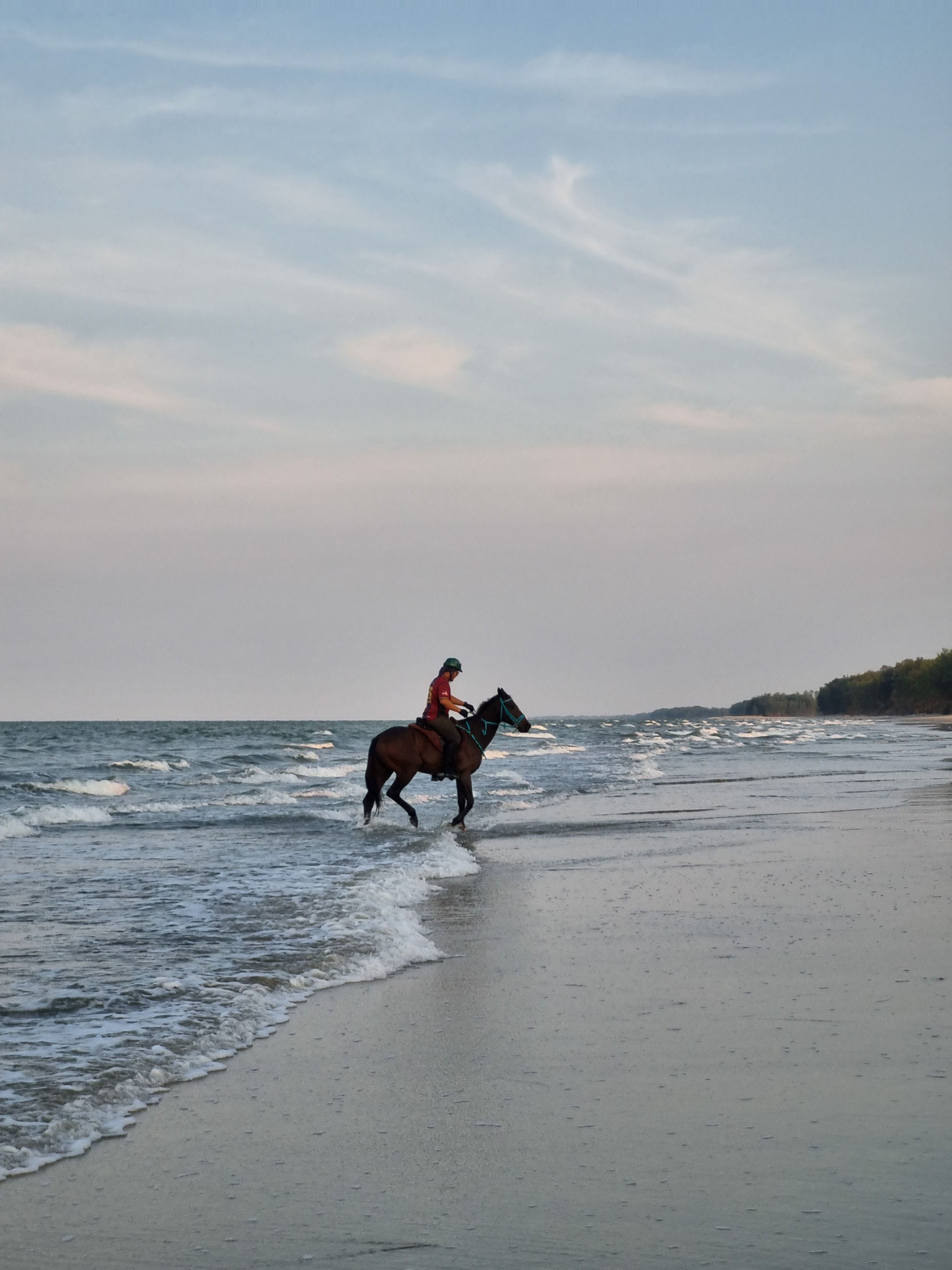 A lone rider on horseback by the beach, enjoying a peaceful sunset ride.