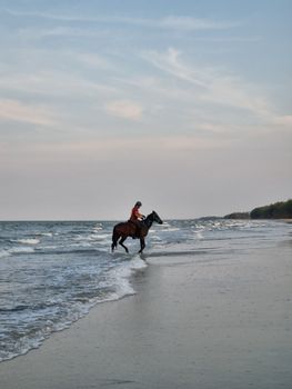 A lone rider on horseback by the beach, enjoying a peaceful sunset ride.