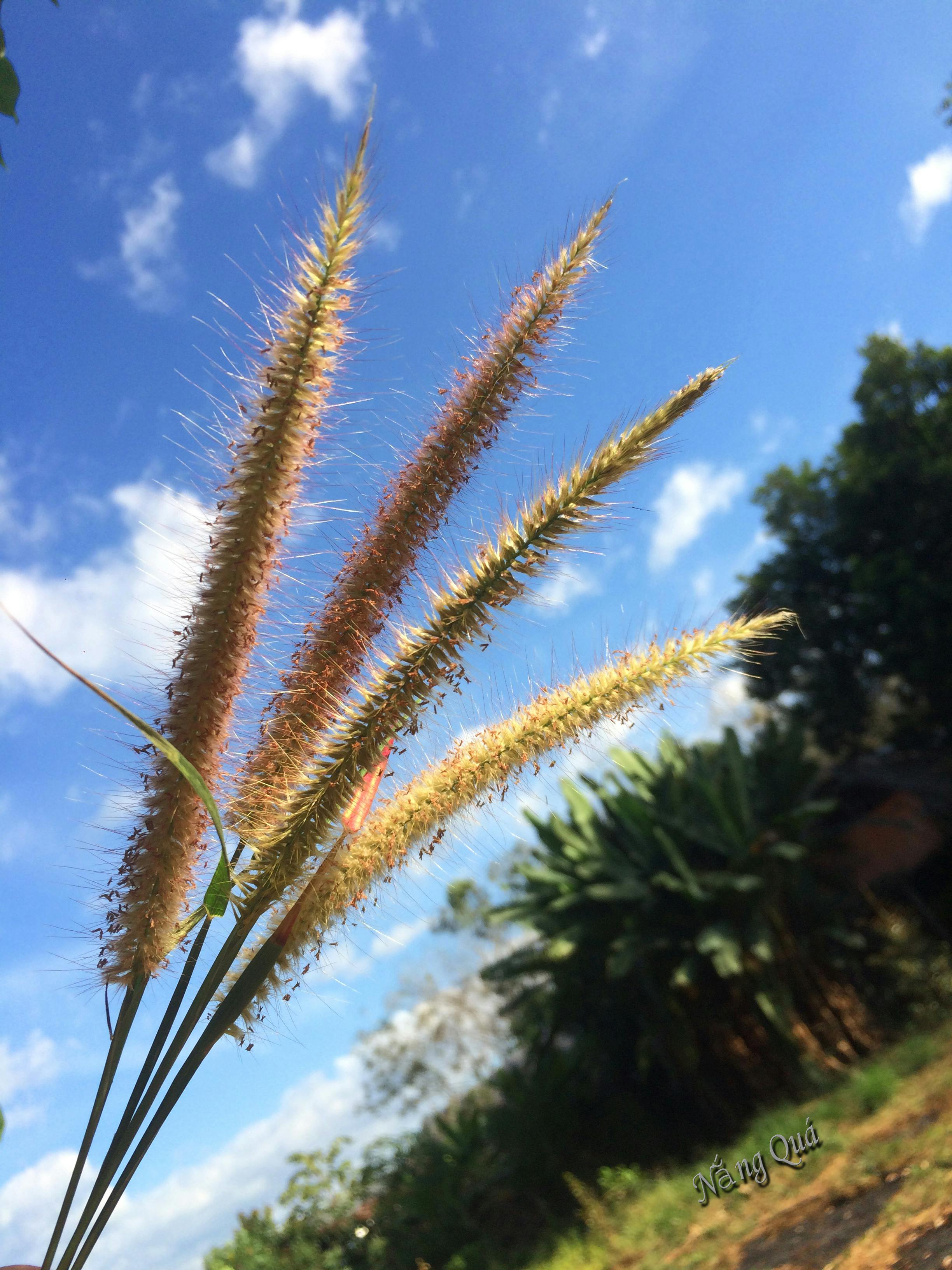 Tomball home plumbing maintenance