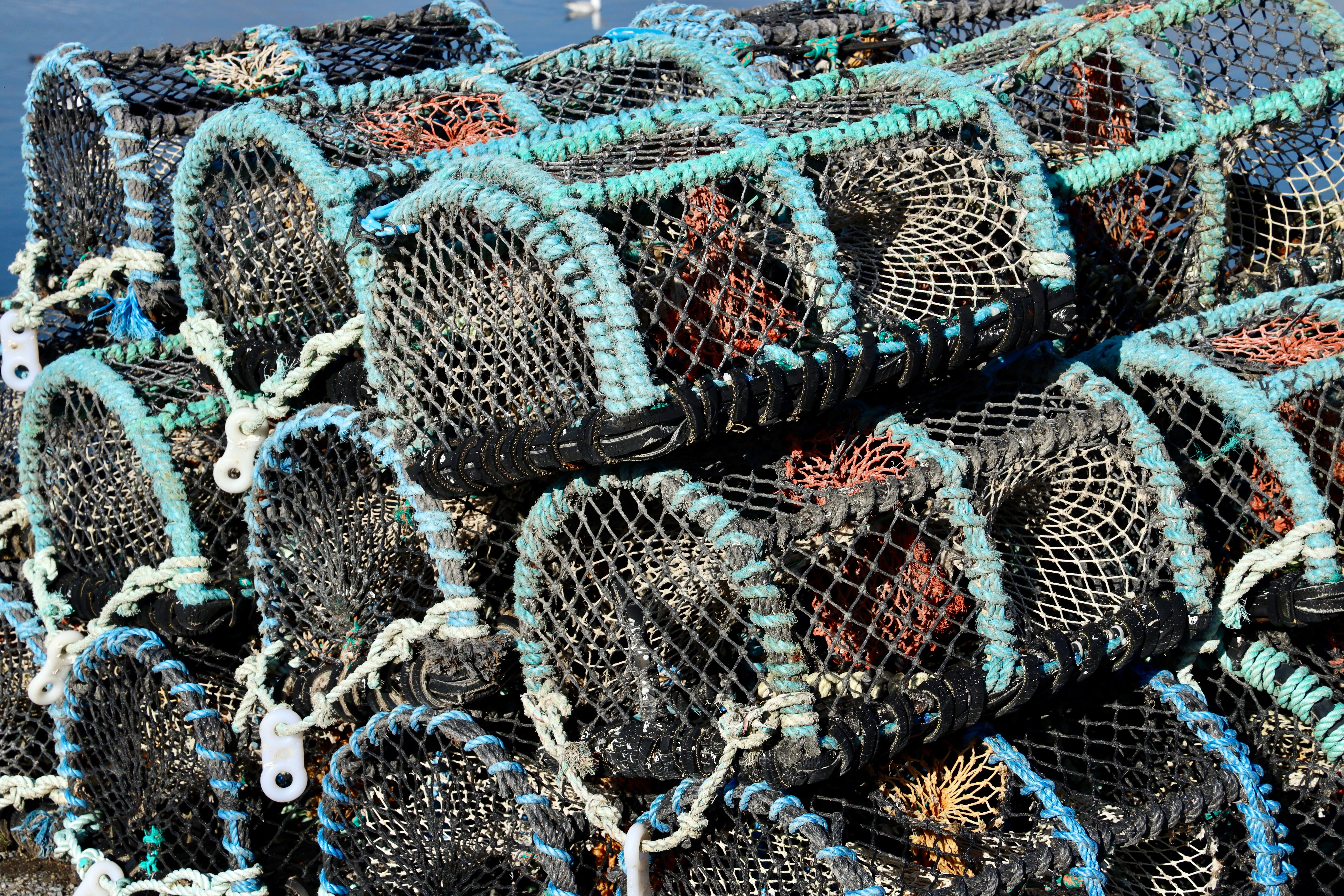 为你好 陷阱 情感配图