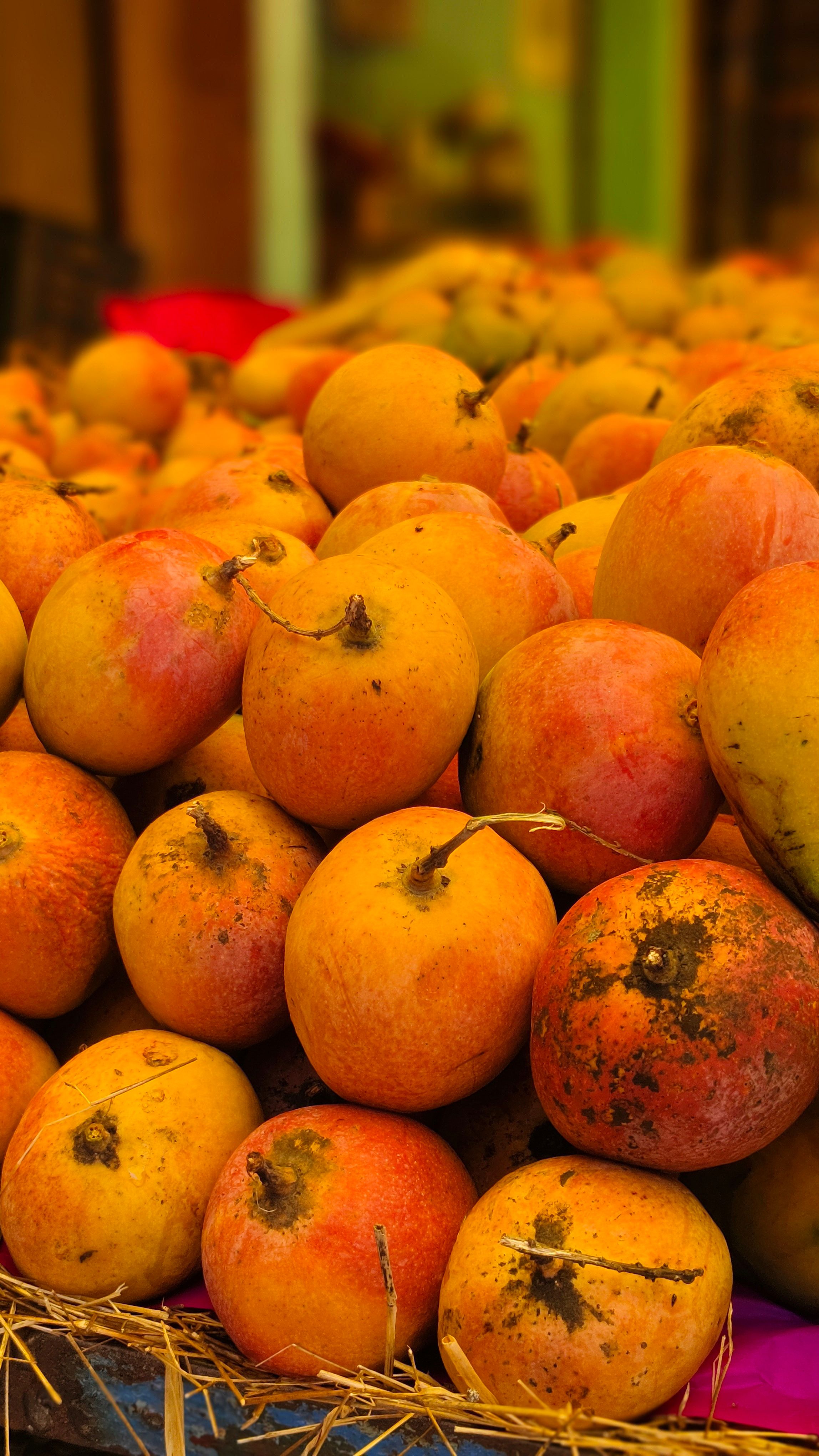 Vibrant orange and yellow mangoes stacked at a market, rich in tropical flavor and freshness.