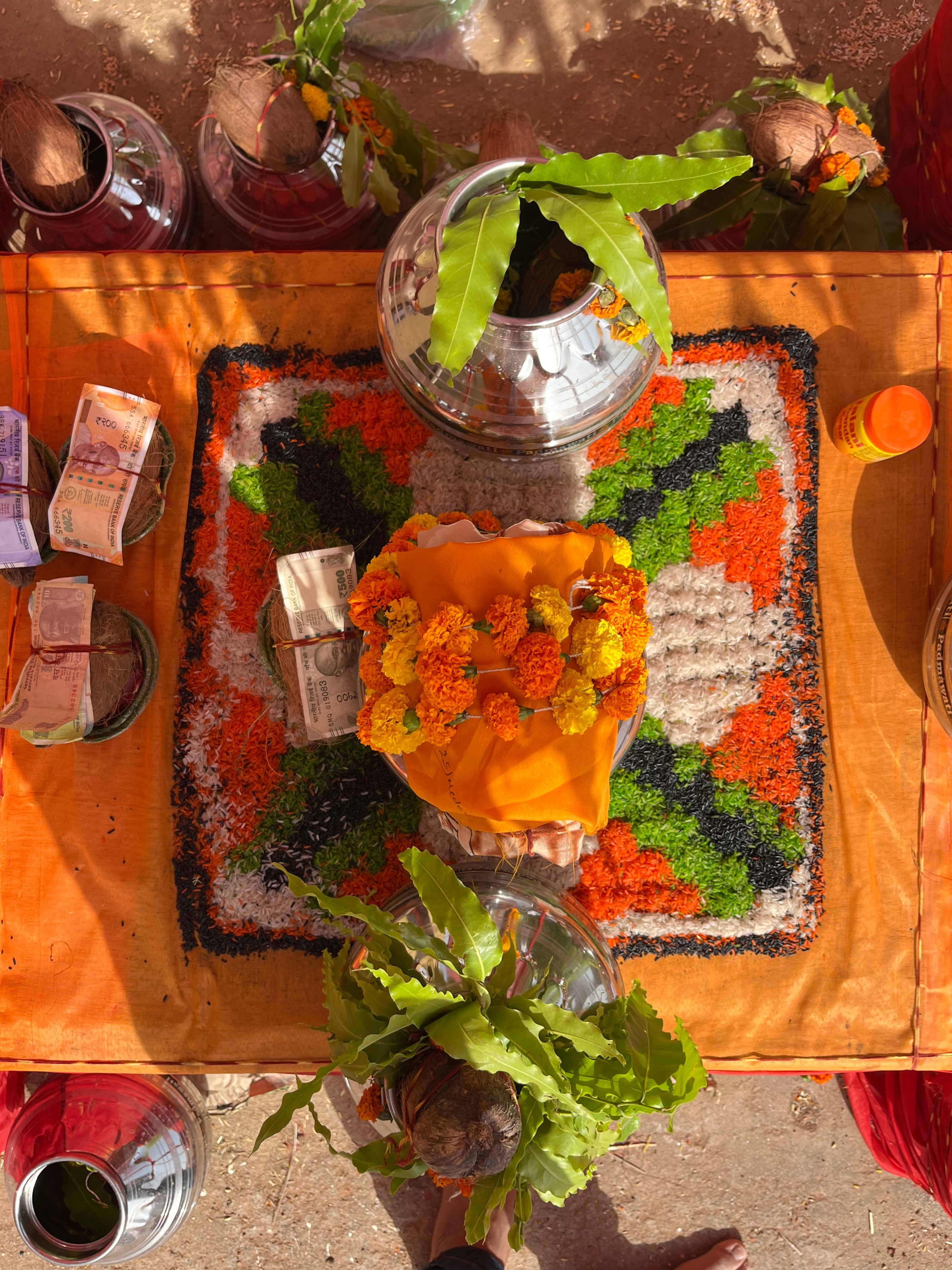 Simha Sankranti 2026 auspicious timings and effects