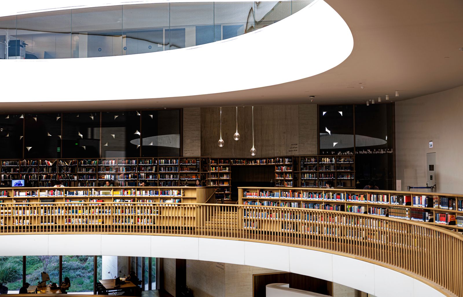 Modern Library Interior with Curved Bookshelves · Free Stock Photo