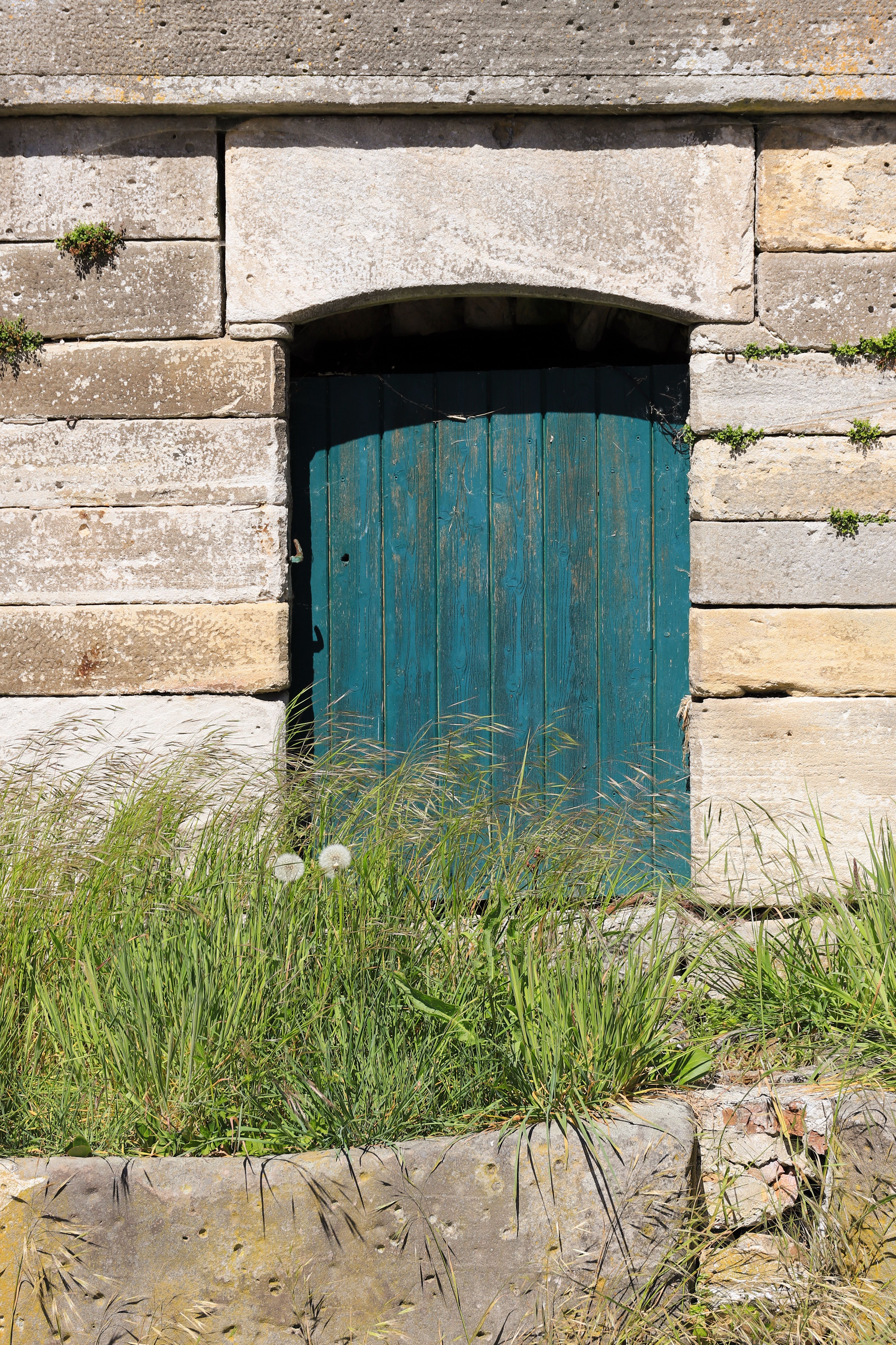 Cellar Door Photos, Download The BEST Free Cellar Door Stock