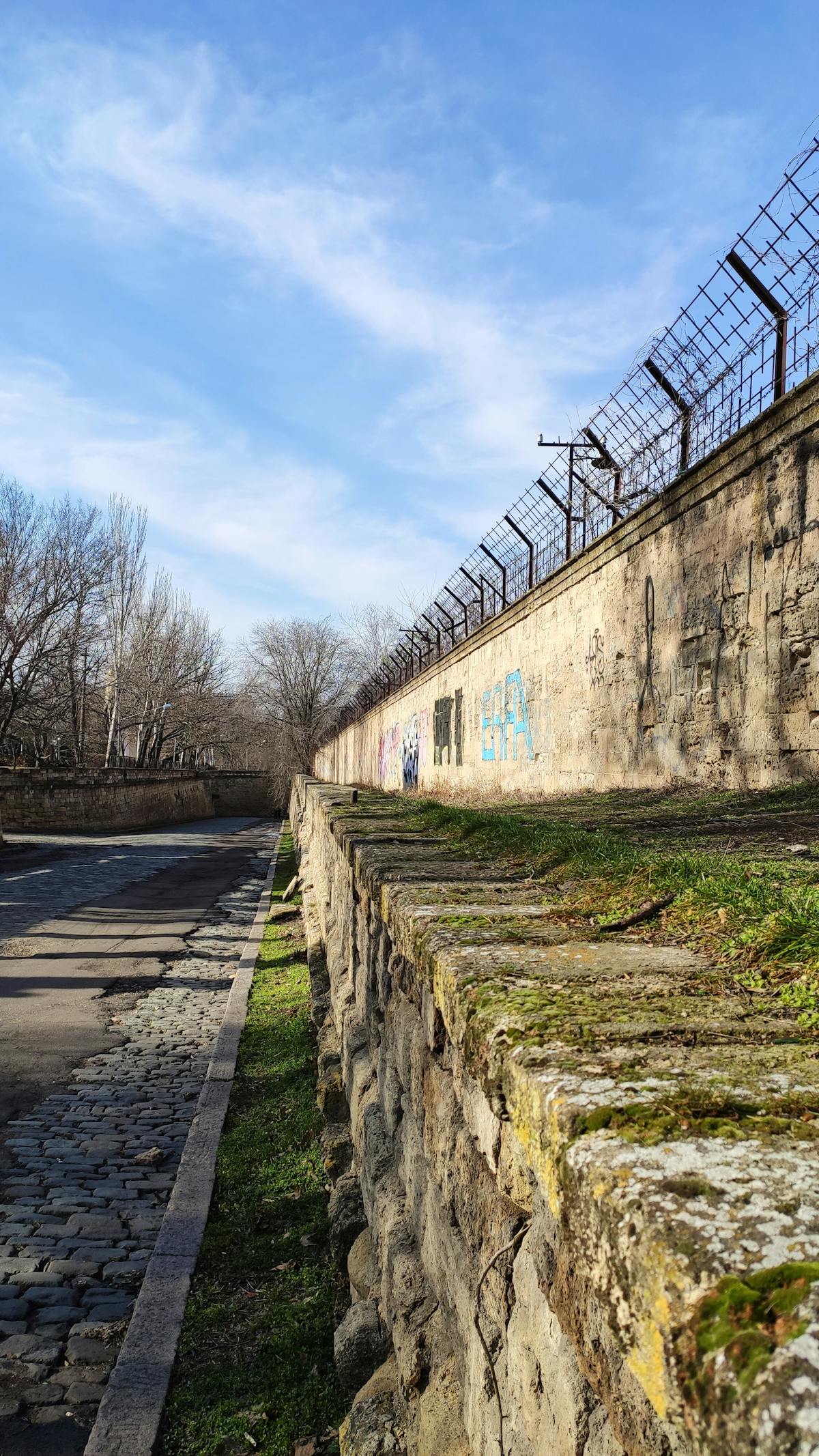 Assorted wellness drinks including green matcha, mushroom coffee, and herbal beverages arranged on a table